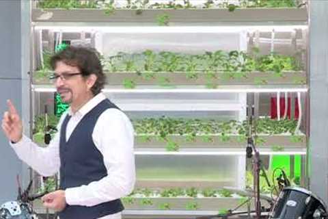 How eating three times a day can help the planet  | Alvaro Enrique Royo Barcenas | TEDxMXIS