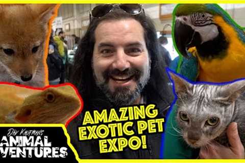 Touring the COOLEST EXOTIC PET EXPO! Parrots, Reptiles and Werewolves?!