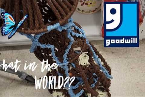 What in the World?? - Shop Along With Me - Goodwill Thrift Store