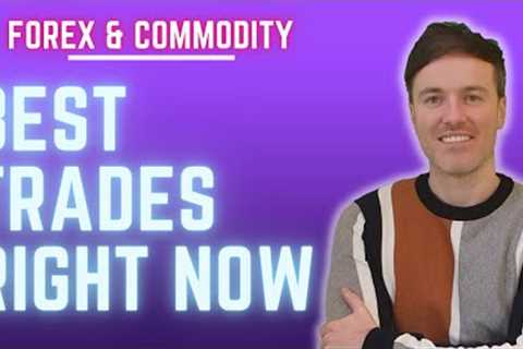 Forex Trading Today - The BEST Setups This Week Forex &amp; Commodities