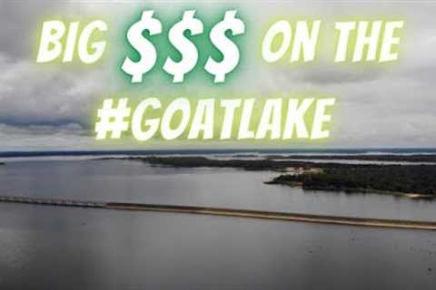 Biggest $$$ Tournament Of The Year On Lake Fork #goatlake :The Best Tips Money Can Buy!!!