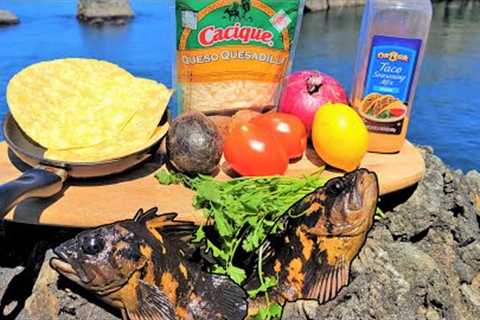 (Life Changing Announcement) CATCH AND COOK Cheesy, Crunchy Fish Quesadilla ON THE ROCKS!