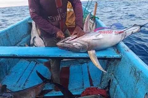 AMAZING GIANT TUNA &amp; SWORDFISH LONG LINE FISHING VIDEOS IN INDIAN OCEAN SEA 🌊