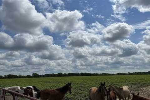Texas Ranch Life 4k Aerial Drone photography with music - North Texas Farm Living - 100+ Acres