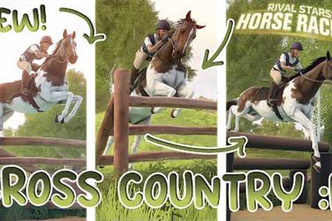 Trying Cross Country! - Rival Stars Horse Racing
