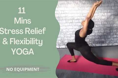 11 Minutes Yoga for STRESS RELIEF &amp; FLEXIBILITY | STRETCH YOGA