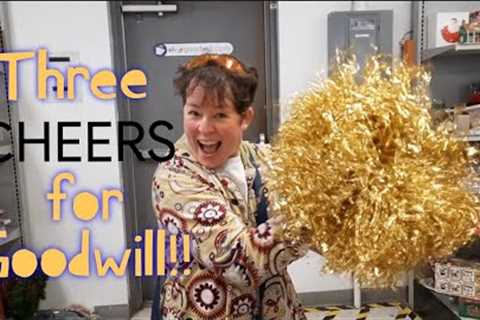 Three Cheers for Goodwill!! - Shop Along With Me - Goodwill Thrift Stores