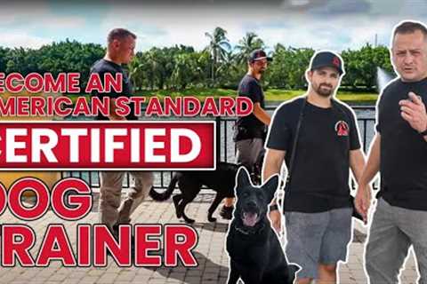 Become A CERTIFIED DOG TRAINER - Apply Now!