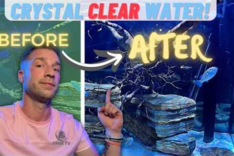 The 5 Hacks For Crystal Clear Aquarium Water.