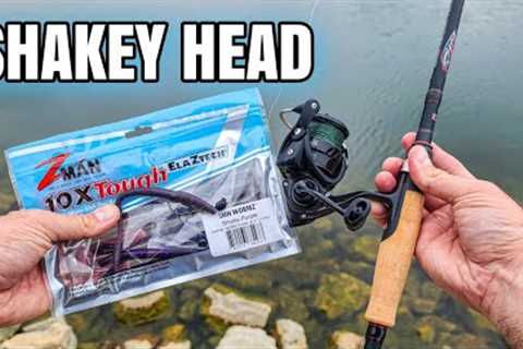 Shakey Head CATCHES Late Summer Bass (Bank Fishing)