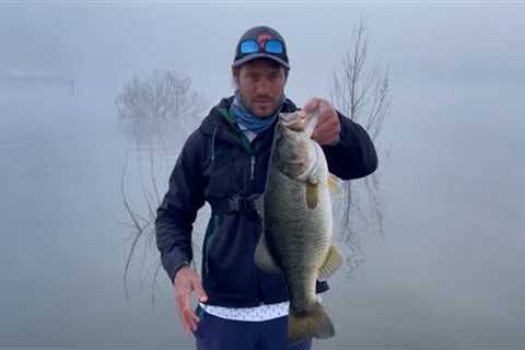 Bass Fishing at Albert Falls Dam has SWITCHED on BIG TIME !! Bass Fishing South Africa.