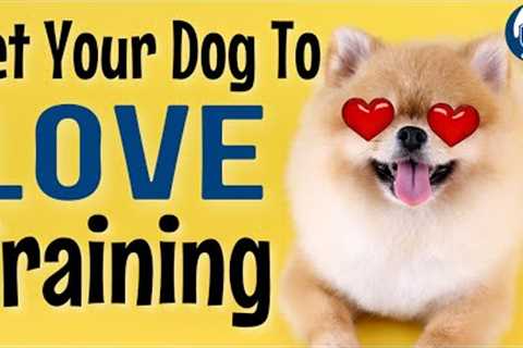 Why Your Dog’s Emotions Are A Critical Element Of Dog Training #176 #podcast