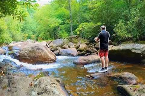 Eating Whatever I Catch from this Mountain Stream!