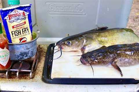 Channel vs Flathead Catfish Catch n' Cook! Which Tastes Better??