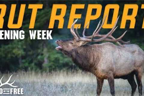 RUT REPORT: OPENING WEEKEND (LAND OF THE FREE)