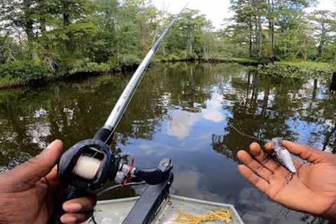 I FINALLY went BASS FISHING for the first time in a month !!!! (WHAT  A GRIND)