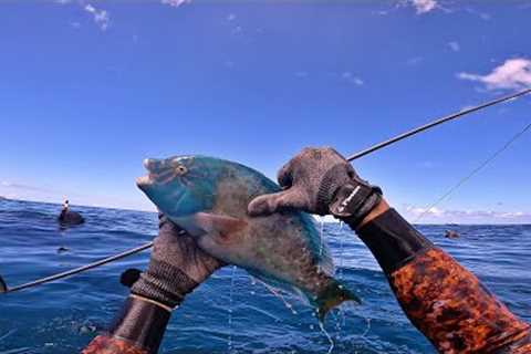 Pananu Play Dead / Spearfishing Hawaii Catch n Cook