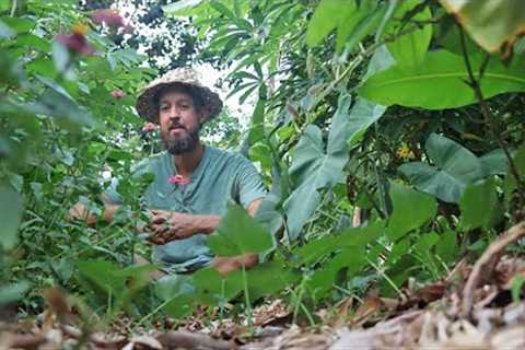 Vertical Gardening The Permaculture Way (No Trellises Required!)