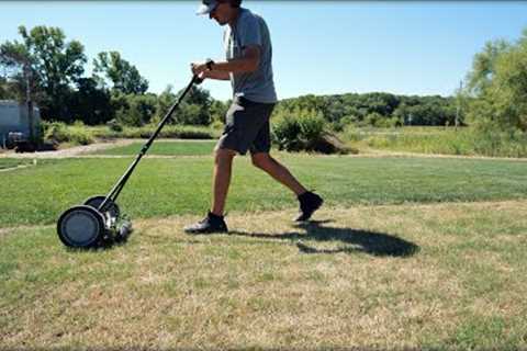 When To MOW/OVERSEED Newly Seeded Lawn