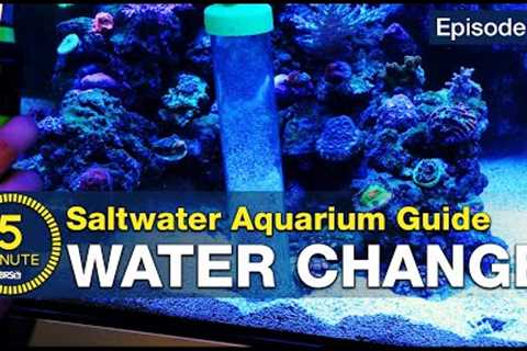 Change your saltwater aquarium water and change your reefing hobby life!