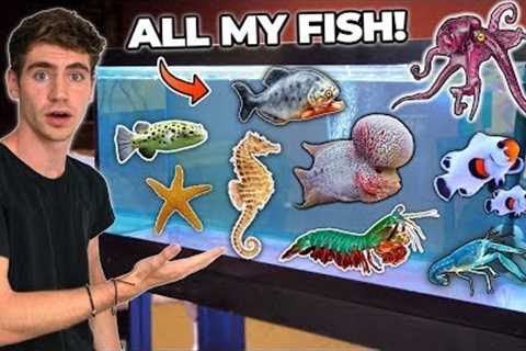 ALL MY FISH &amp; RARE EXOTIC ANIMALS!!! (room tour)