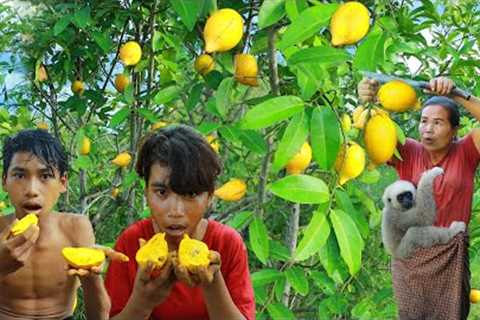 Survival skills-Man with woman found chocolate fruit for eat -Eating delicious