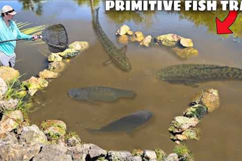 I Built a MASSIVE PRIMITIVE FISH TRAP!