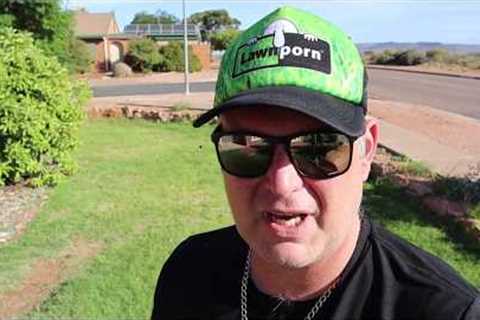 Fixing a Terrible Lawn - Part 1 (Couch/Bermuda) - Weeds!!