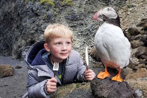 Eating Puffin, Whale &amp; Shark - 5 Day Iceland Adventure