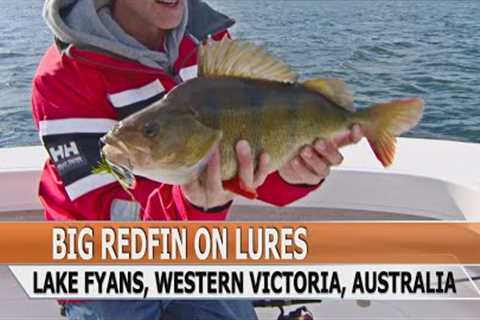 Fishing Edge episode - Big redfin, European perch, on lures at Lake Fyans