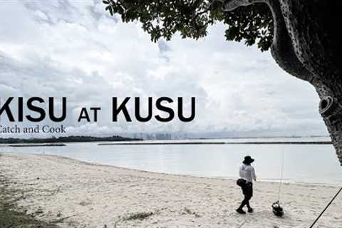 Fish that are Easy to Catch? | Kisu Catch and Cook | Kusu Island