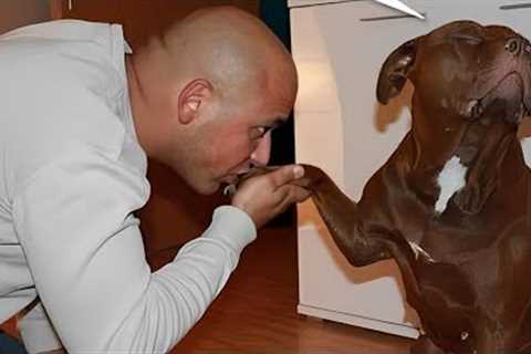 Animal's Best friends 🐶🐱 Unbelievable Friendship Between Dogs, Cats and Human