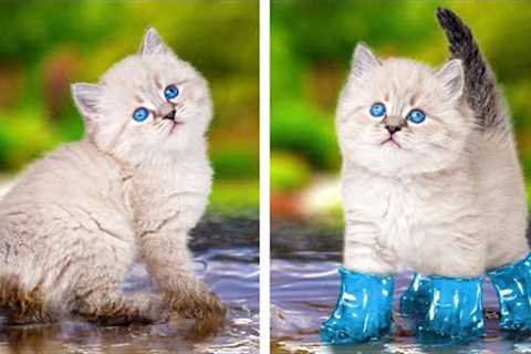 PRICELESS HACKS &amp; GADGETS FOR PET OWNERS
