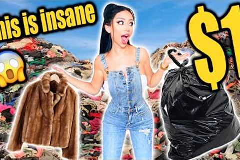 Shopping Spree at a $1 Thrift Store Sale
