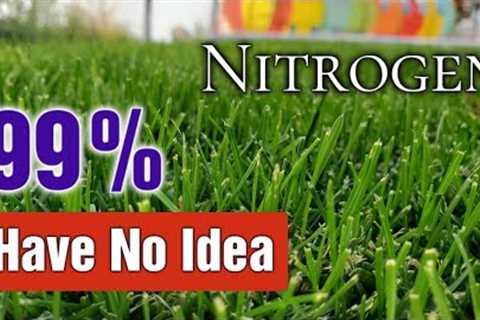 I Bet You DON'T Know This About Nitrogen Lawn Fertilization