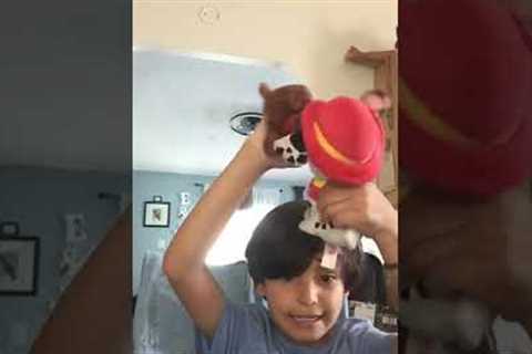 Celebrities in a fight