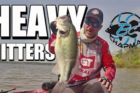 2021 Major League Fishing HEAVY HITTERS - Jordan Lake North Carolina