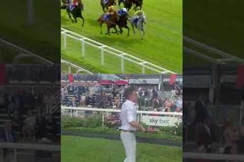 The ecstasy and agony of horse racing