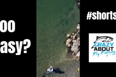 The easiest fly fishing ever #shorts