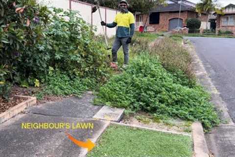 Part 1: Neighbour Said I Was MAD For Mowing This Yard