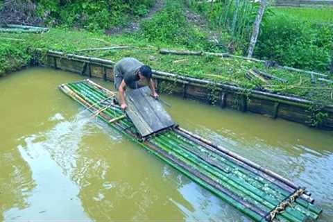 Single wooden bridge, Rebuild the broken bamboo raft | Live with nature - Day 250