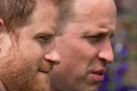 The Devastating Truth About Prince William And Prince Harry's Relationship Today