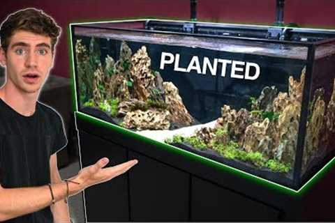 My *NEW* DREAM AQUARIUM BUILD!! - (Freshwater)