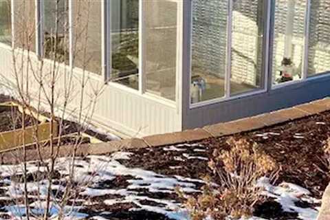 6 Best Glass Greenhouses
