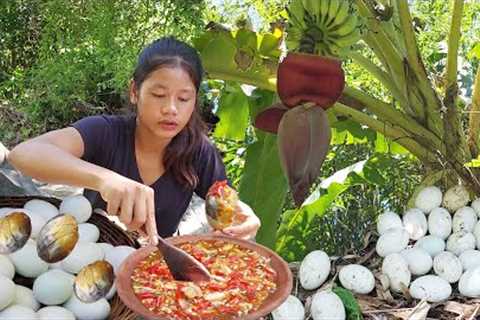 Wild baby duck egg with Chili sauce for food at waterfall So eating delicious - Adventure in forest