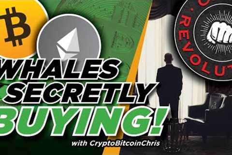 BITCOIN REVERSAL WE'VE BEEN WAITING FOR? BEARS ARE TRAPPED! NEXT MOVE TO CONFIRM A MAJOR BTC MOVE!