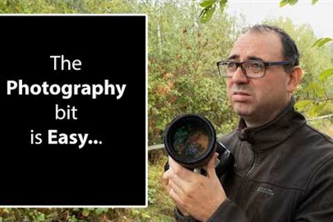 All the things that make Wildlife Photography DIFFICULT (But NOT the Photography)