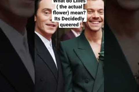 Harry is no gay concidence decidedly queered? #larrystylinson #harrystyles #louistomlinson #shorts
