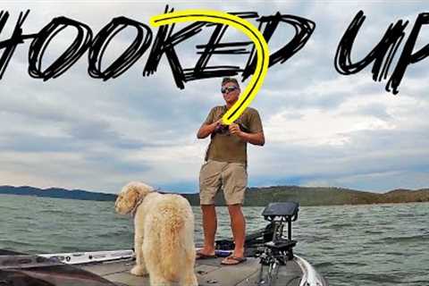 TOURNEY TIME!! Bass Fishing On Lake Guntersville! Let's Smash Em!