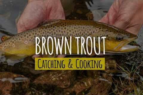 Catch Brown Trout With Hands and Cook Near Waterfall | Trout Catch &amp; Cook | Trout Catching..